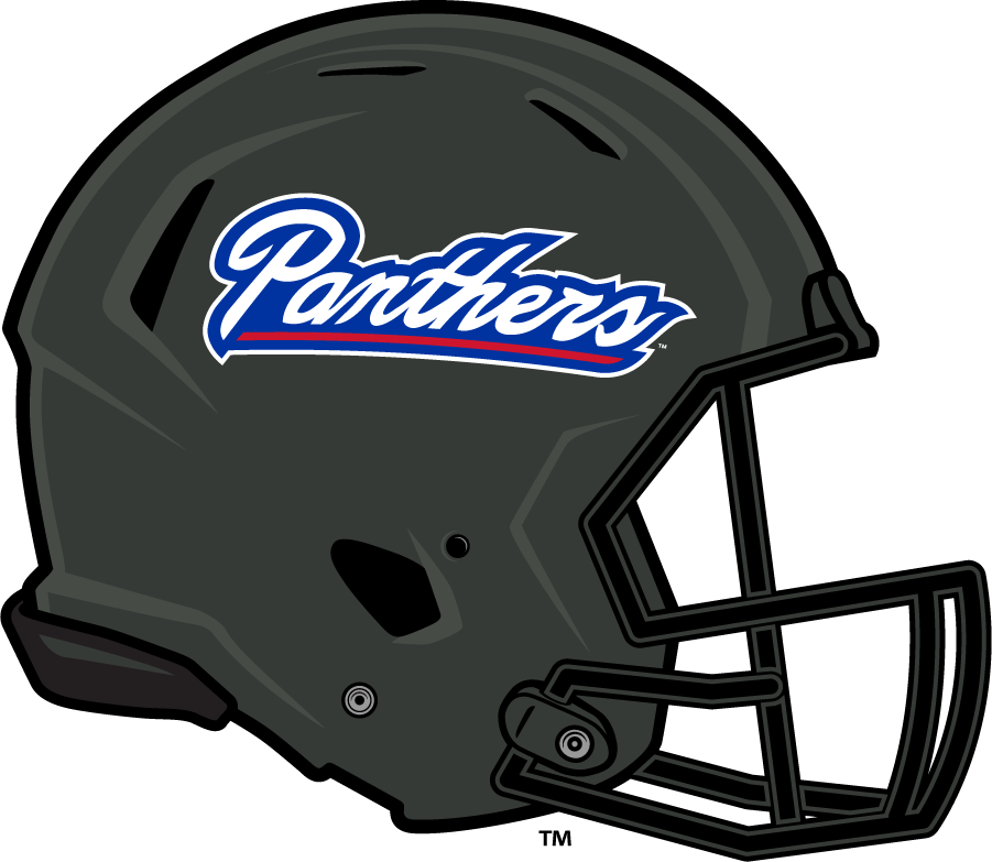 Georgia State Panthers 2013 Helmet diy iron on heat transfer